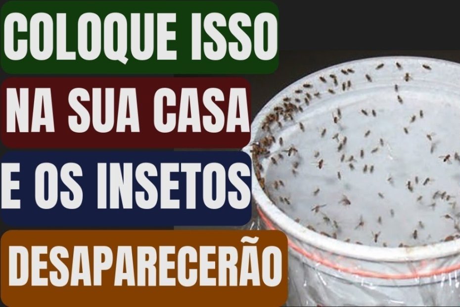 Coloque isso na sua Casa e 1 hora Depois voce nao vera mais Nenhum Mosquito, Mosca ou Barata!